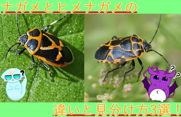 Thumbnail of post image 200